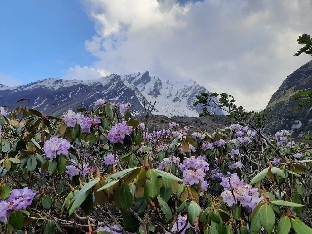 Finding the Best Trek Guides for Bali Pass Trek: A Complete Guide